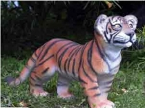 Tiger Cub Standing 